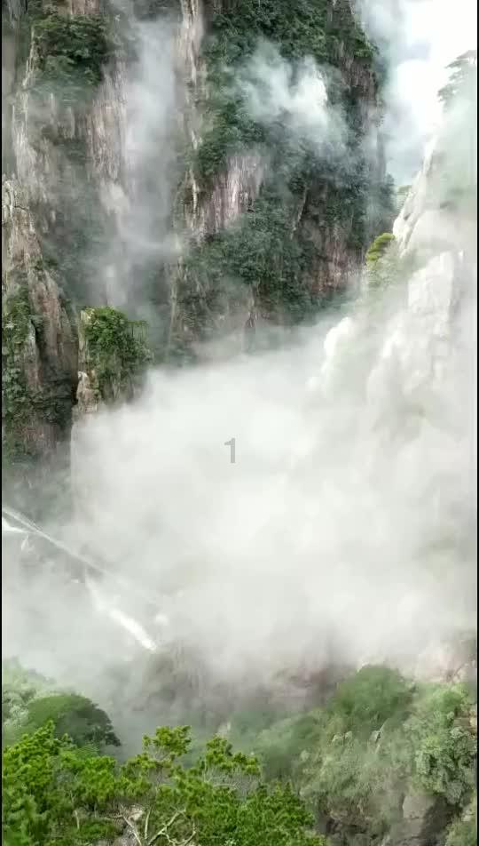 别的公司拿我的身份证做工资可以举报他偷税漏税吗？